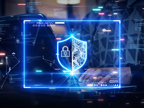 AI Security & Privacy
